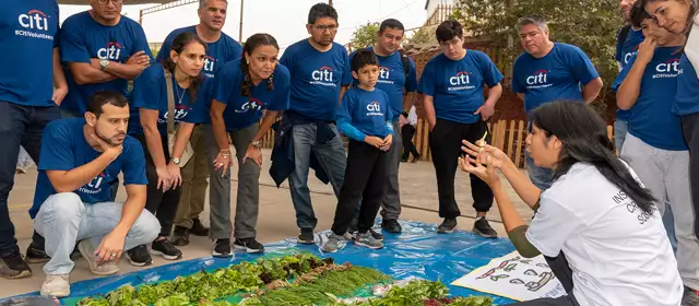 Imagen de Citibank - Voluntariado