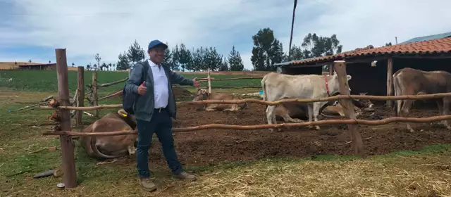 Imagen de Proyecto Conecta - Desarrollo productivo