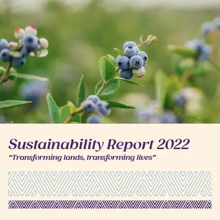 Reporte de Sostenibilidad 2022 - Agrovision