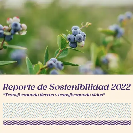 Reporte de Sostenibilidad 2022 - Agrovision
