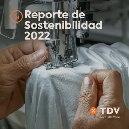 Reporte de Sostenibilidad 2022 - TDV
